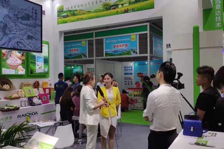 GA黄金甲(中国)最新官方网站