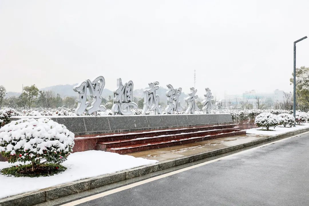 瑞雪兆有年，邀您共赏雪中尊龙凯时！